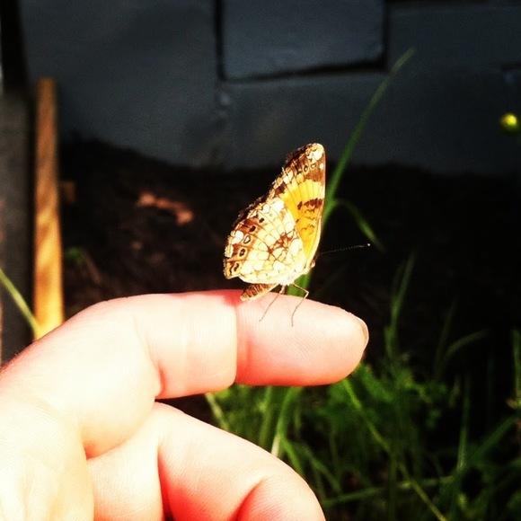 Meet your Posher, Jen - Picture 1 of 1